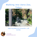 Walking into Ueno Zoo, Tokyo: Capturing Beautiful Encounters with Animals 69 ueno_zoo_202403_en