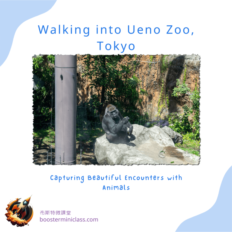 Walking into Ueno Zoo, Tokyo: Capturing Beautiful Encounters with Animals 6 ueno_zoo_202403_en