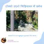 टोक्यो उएनो चिड़ियाघर में प्रवेश: जानवरों के साथ खूबसूरत मुलाकातें कैद करना 12 ueno_zoo_202403_in