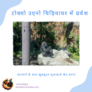 टोक्यो उएनो चिड़ियाघर में प्रवेश: जानवरों के साथ खूबसूरत मुलाकातें कैद करना 3 ueno_zoo_202403_in