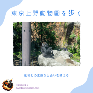 東京上野動物園を歩く:動物との素敵な出会いを捕える 3 ueno_zoo_202403_jp