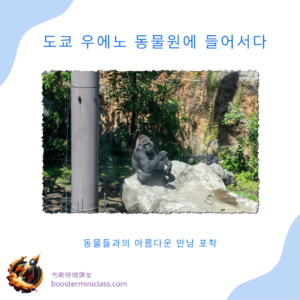 ueno_zoo_202403_kr